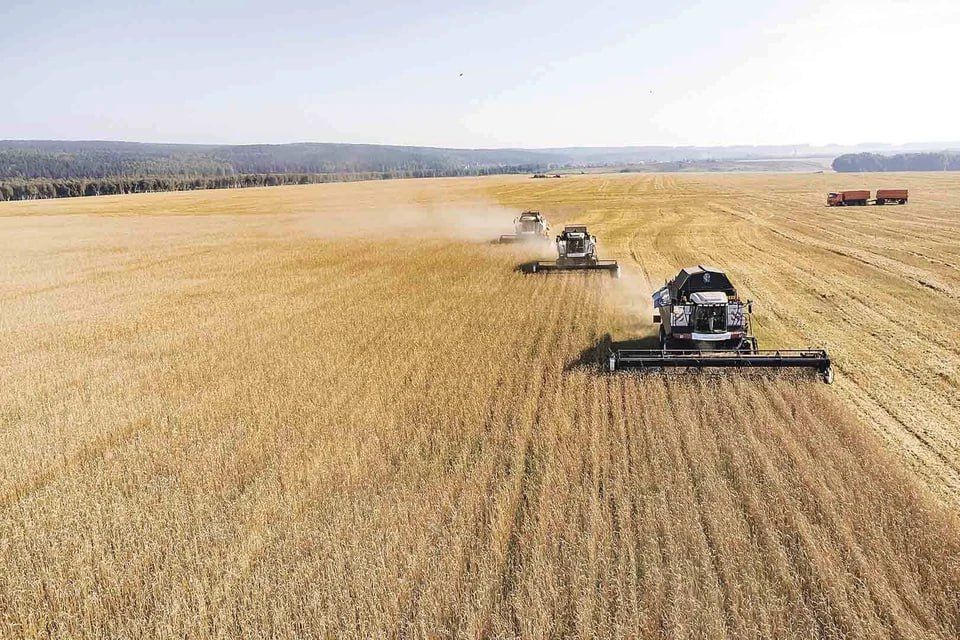 ���� ����� �������� � �����! ���������� ������������� ��������� ����� ����� �� ������