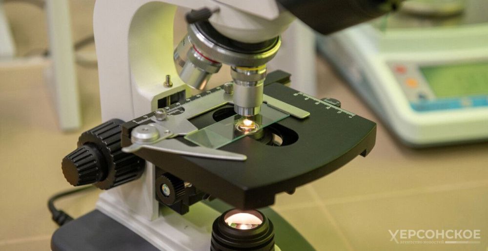 �����, �������� ��� ������: ��������� ���������� � ���������� ��������� ���������