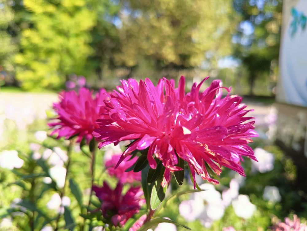 � ������ �����, �����������!