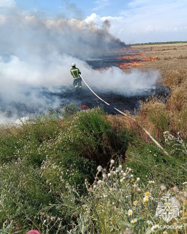 ����������� ��� ���������� ������� ������������� ���������� ����� ��������������