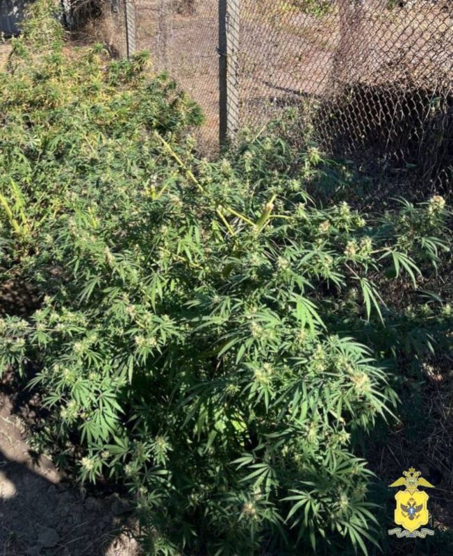 ������ ���������� ������ ������������� � ���������� ��������������� � �������� ������������� ���������