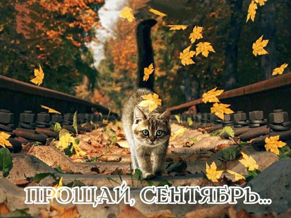 ��������� 30 ��������. ������������� ���� �����������