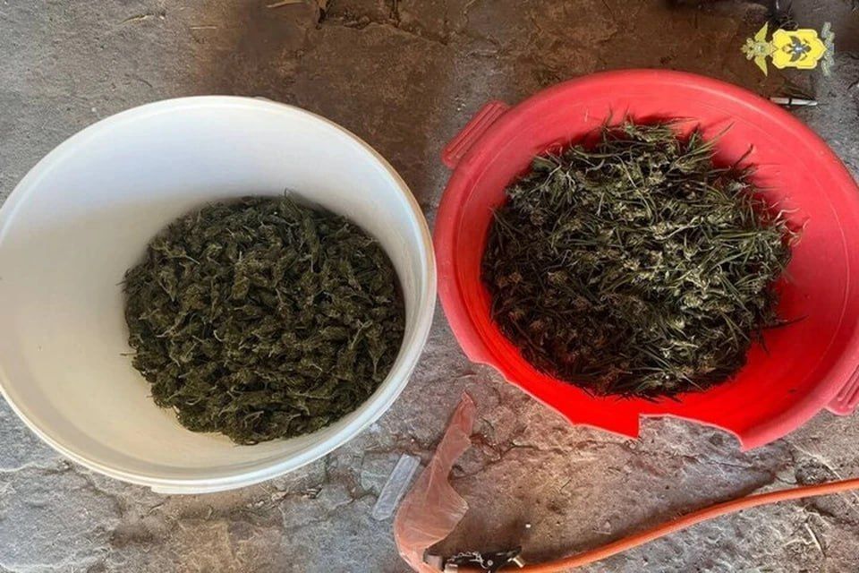 ����� � ����� � �������� ����� � ������ ���������� �������