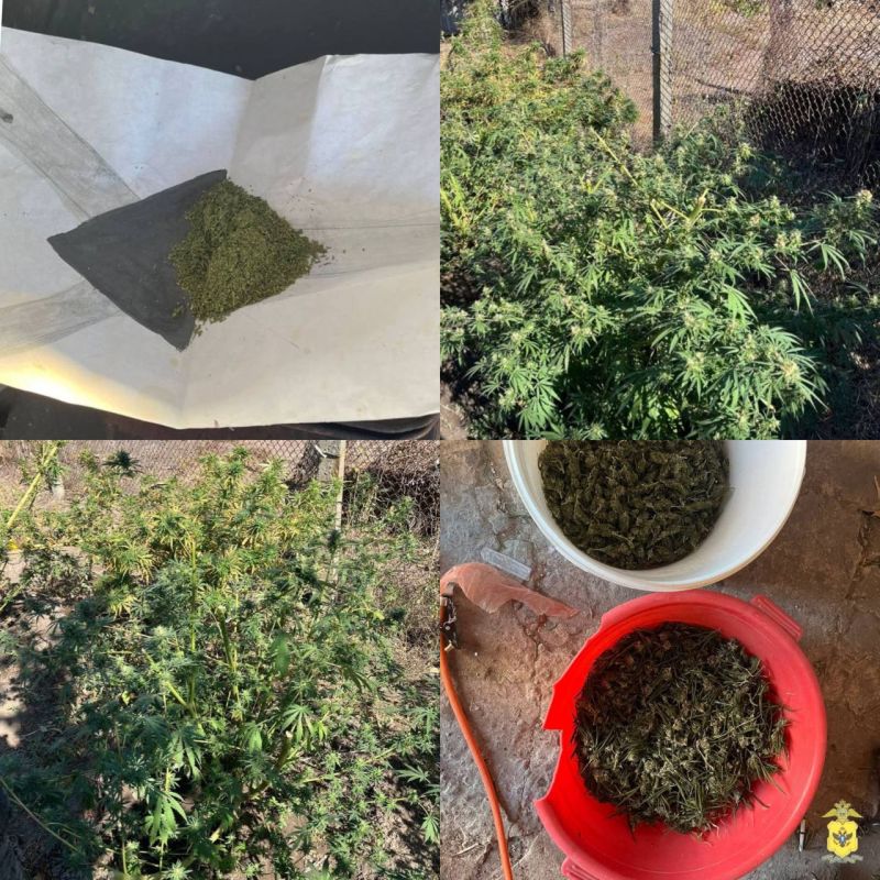 ������ ���������� ������ ��������� ����� ������� ��� ������������ ��������� � ����� �������� ������ � ����������� ���������� ����