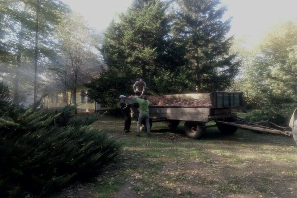 � ��������������� ����������� ������� ��������� ��� ������ ������