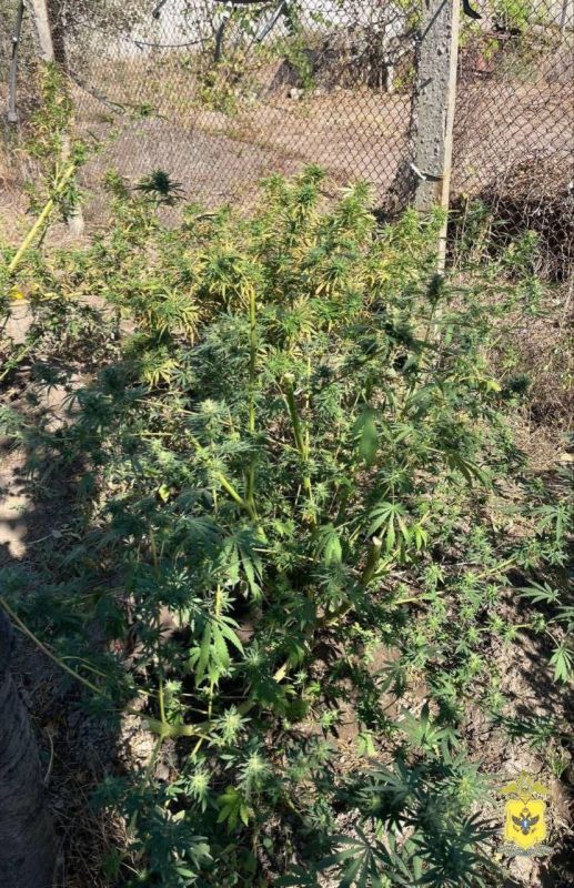 ������ ���������� ������ ������������� � ���������� ��������������� � �������� ������������� ���������