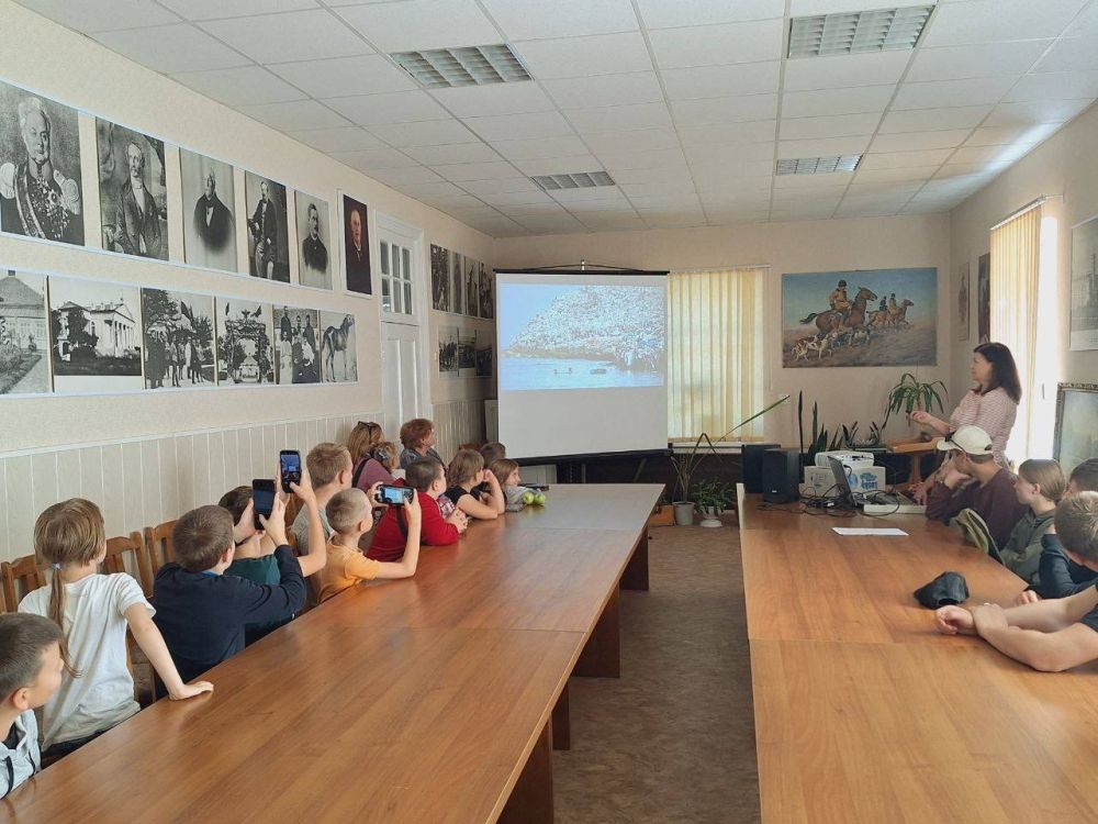 � ���������� ����������� ��������-���� ������� ������������� ���������� ��� �����