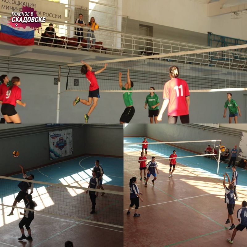 ���������� ����������� ������ ������������� � ������������ ����� �� ���������