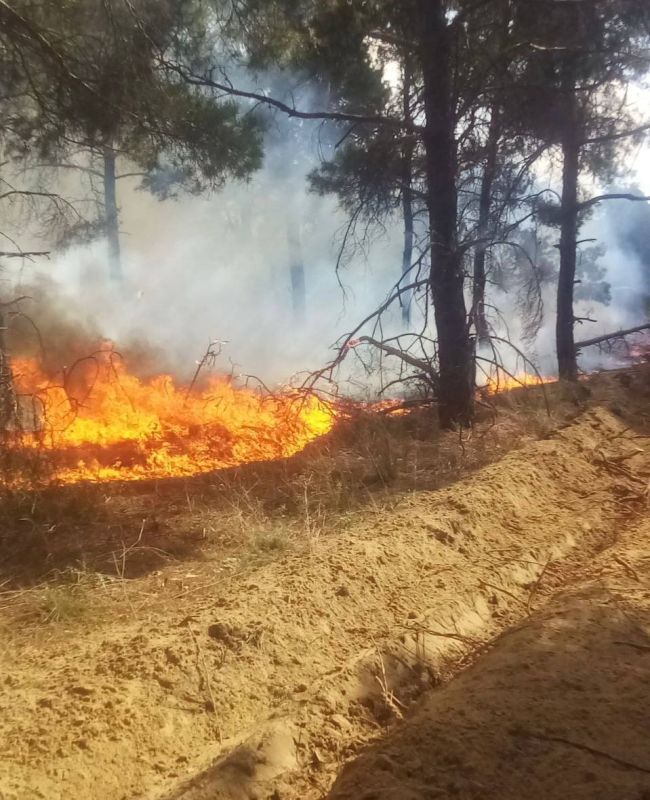 � ��������������� �������������� ��������� ���������� ������ � ������� ��������