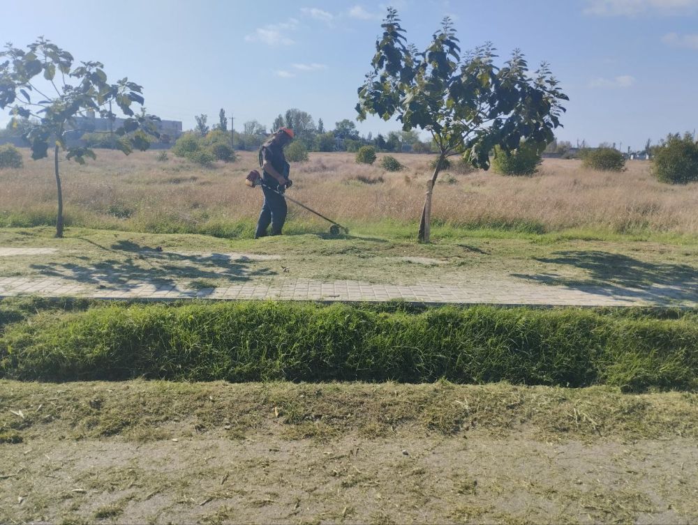 � ���������� ������ �������� �������� ������