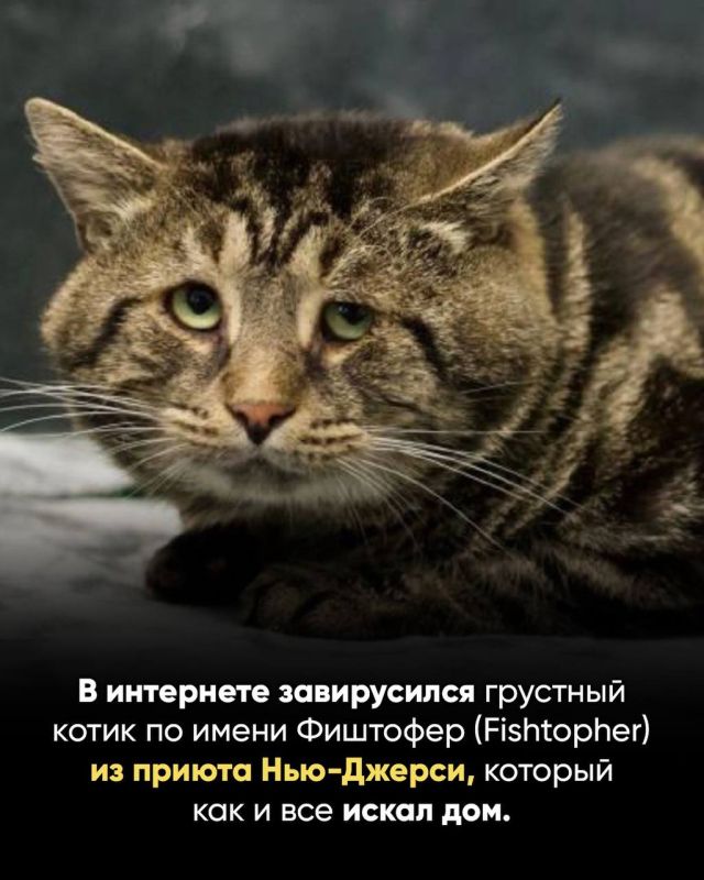 �� ����� ������� ������ ��� ������� �� ����� ������, ������ ��������!