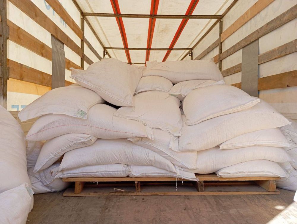 ��������� ����� ������� 85 ���� ������������ ������