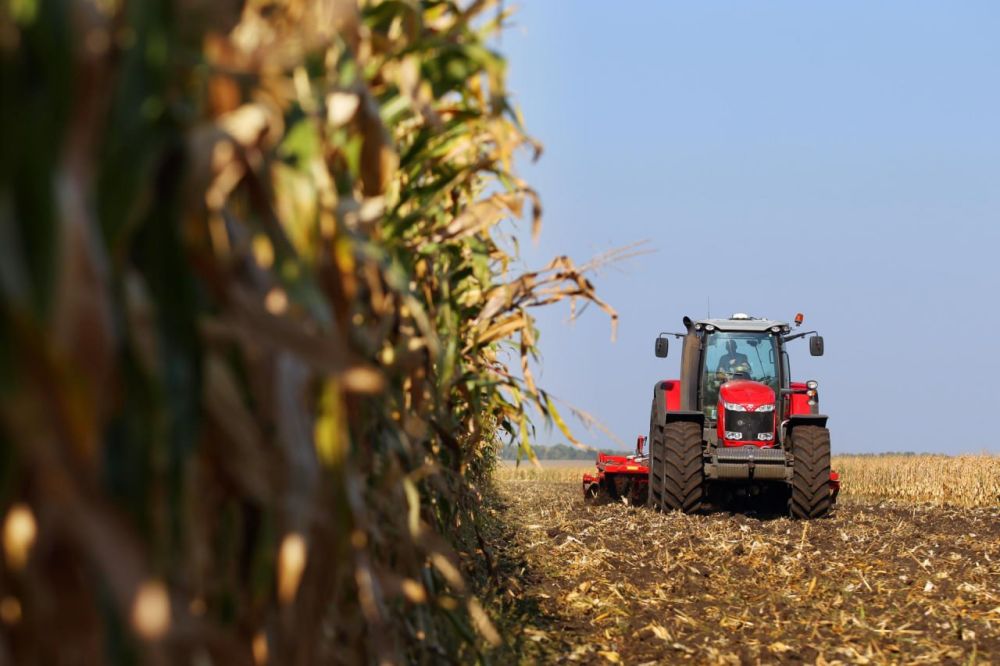 � ���������� ������� ������������ ��������� ��������