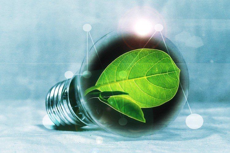 � ���������� ������� ������������� ������ �������� �������������