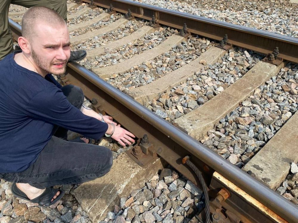 ����������� ����������� ������� ��������� ������������� ���������� �� ���� 25-������� ������ ���������� �������, ����������� � ������� � ���������������� ���������� � ������������ �������� ���������