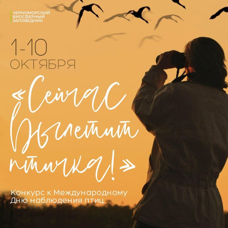 ���������� � ������� � ����-�������� ������������ ����������� ������� ������� ������!�