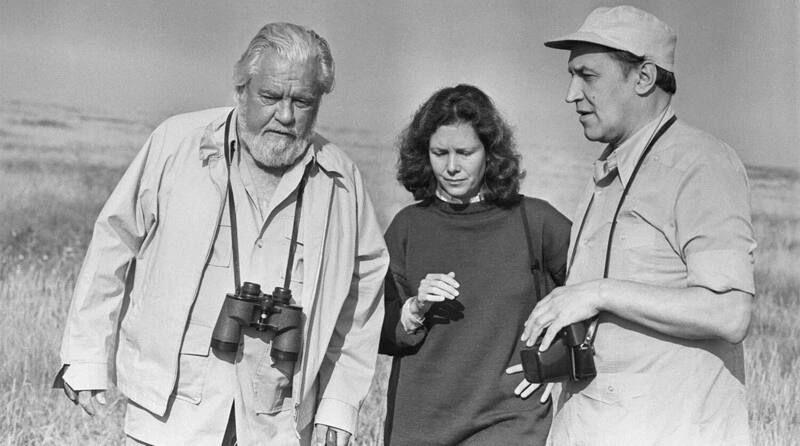 ��������� � ���������� �����������, ������������ �������, ������-������ ���� �������