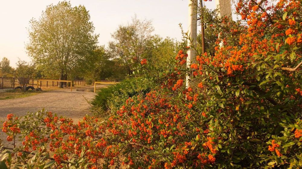 � ������ �����, �����������!