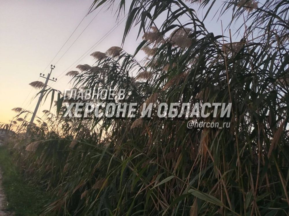 ������ ��������� ���������� ���� � �������� ������ ������ ����������