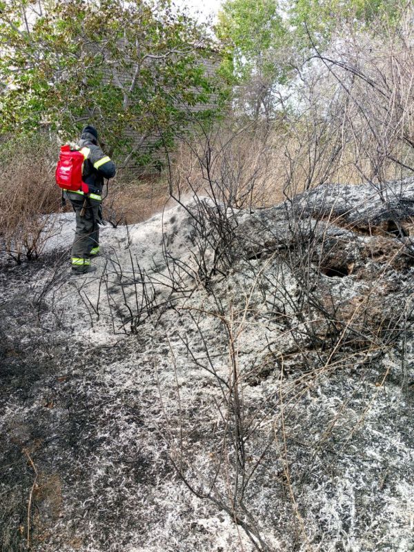 ���� �� �������: �� ��������� ����� ������������ �������� ����������� �������������� �� ������� ���������� ������������ �������: