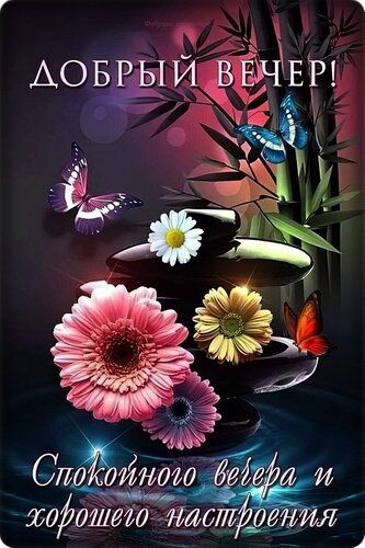 ���� ������� ������, ������!