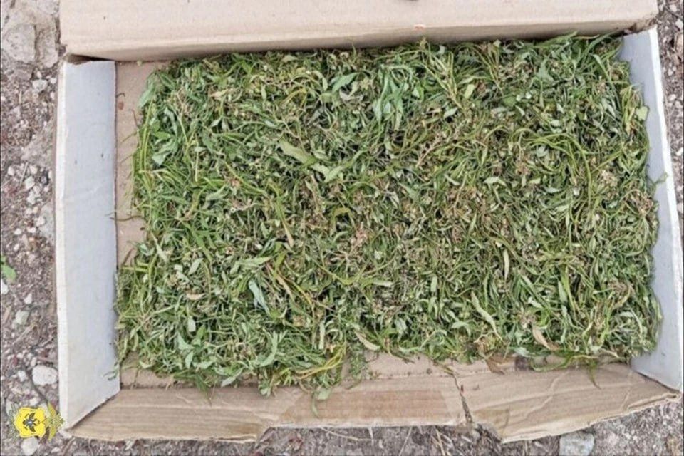 � ������ ���������� ������� ����� ������� � ����������