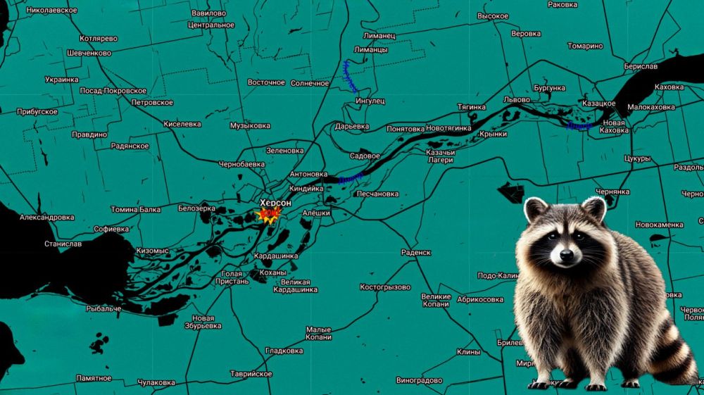 ���� �� �������: ������ ���� ���������� �� �����������: