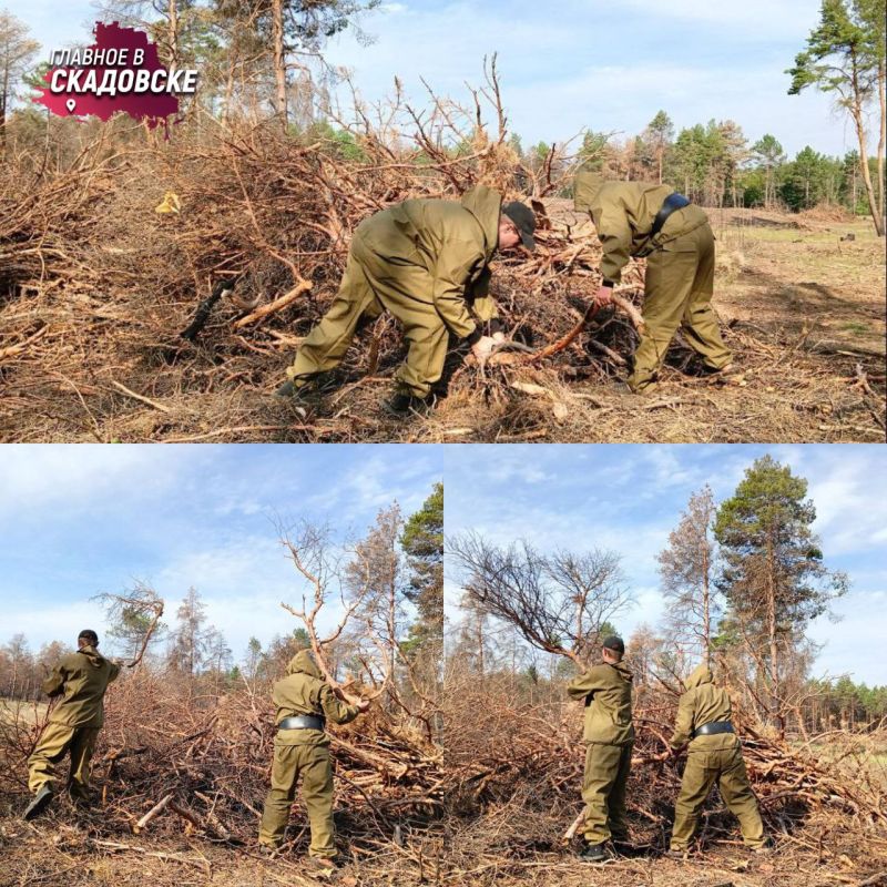 ���������� ���������� ����� ������� � ������� ���������� ���������������� �����������