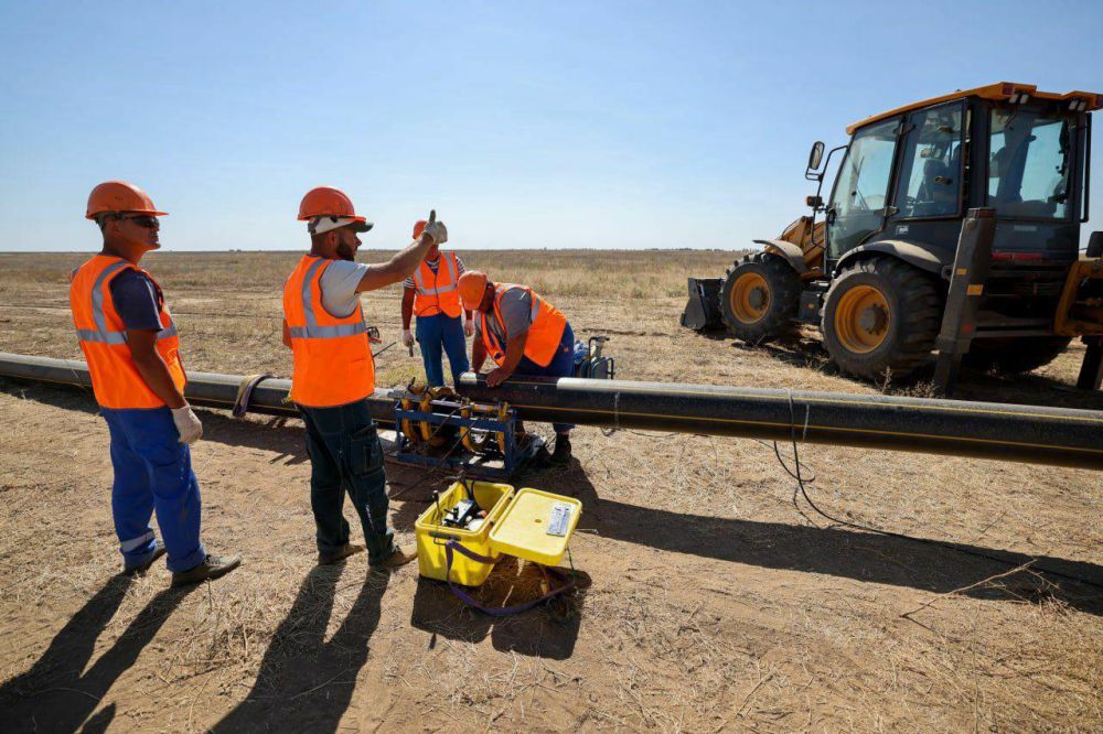 �������� ������: ���������� ������� ��������� � ������-������� ������� 2024-2025 �����