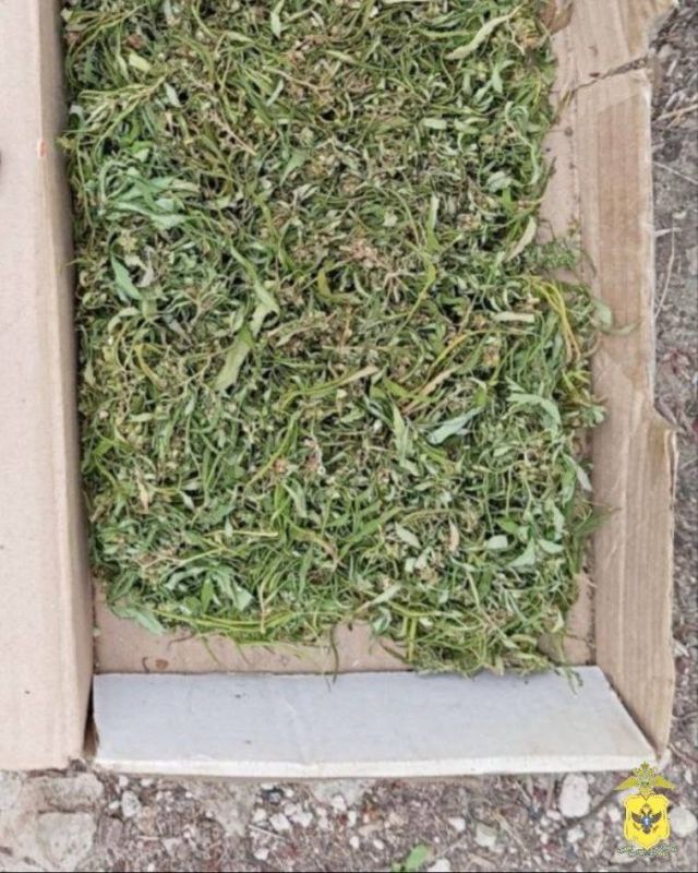 ������ ������������ ������ ������ 200 ����� ���������