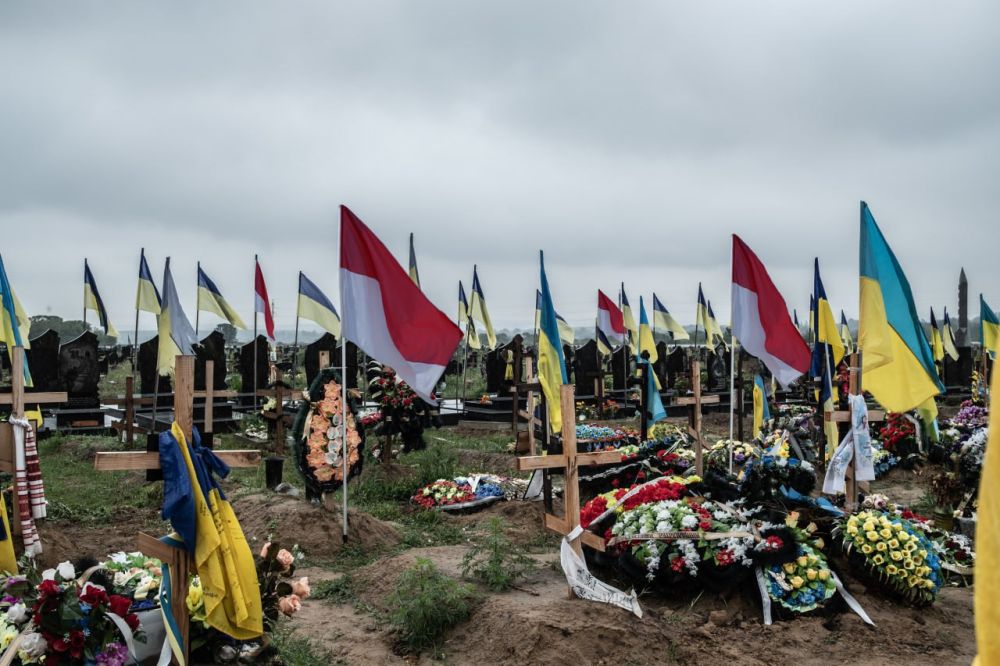 �������� ����� �� ������ ������ �������������, � ��������� �� ������� ��������