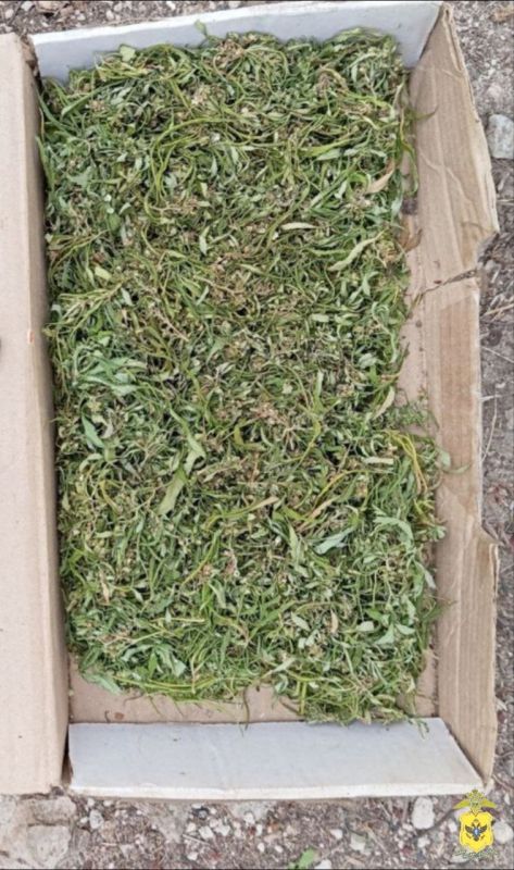 � ���������� ������� ����������� ������ ��������� � 43-������� ������ ������������ ������