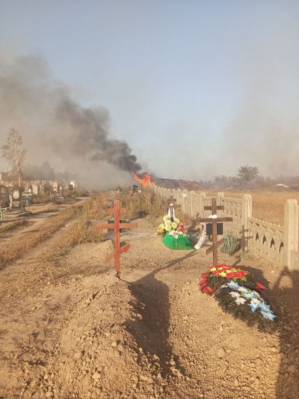 ���� �� �������: �� ��������� ����� ������������ �������� ����������� �������������� ����������� ���������� �� ������� ���������� ������������ �������: