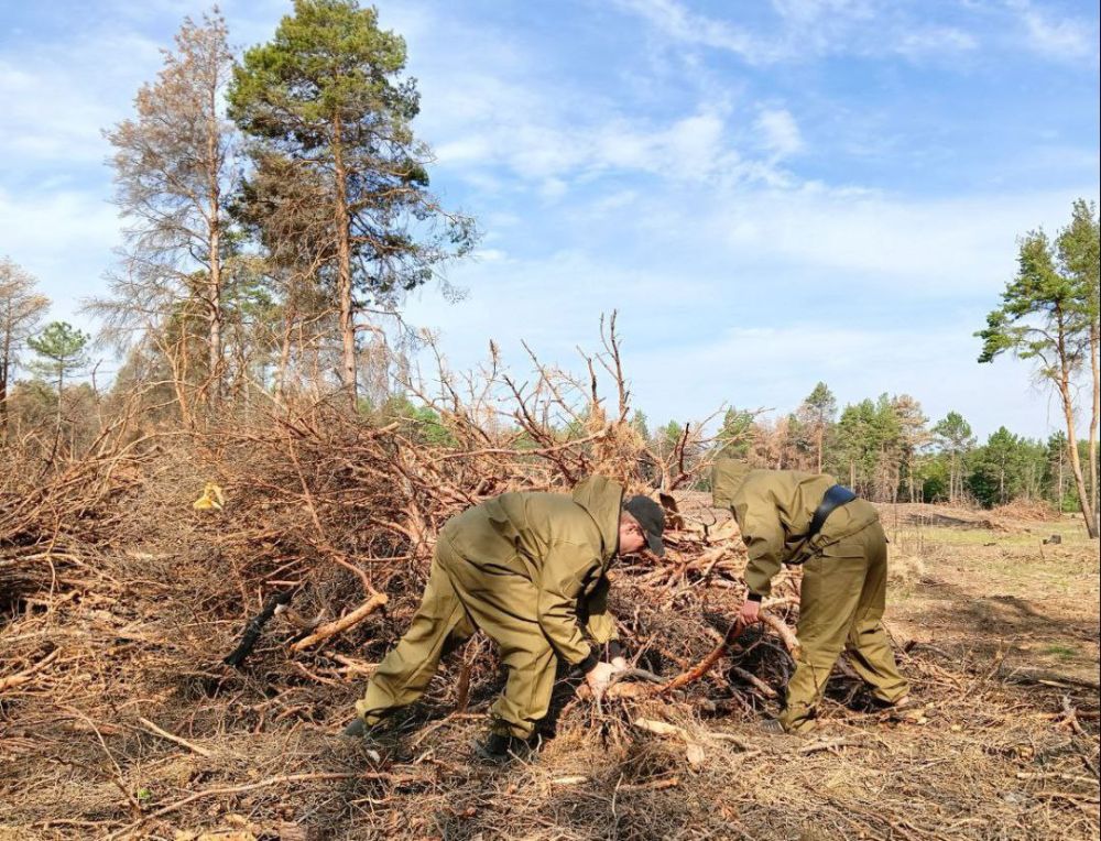 ��������� ���� "����������� �����" ������� ��������� � ������ �������������� ��������� ������ �������