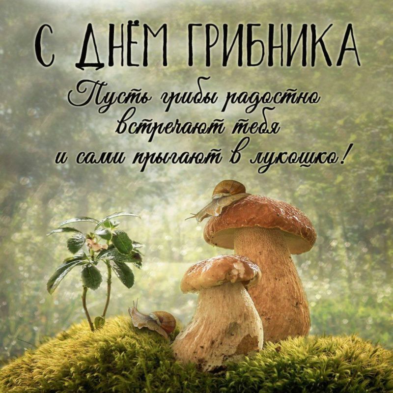 ��������� 3 �������. ���� ����� � ������