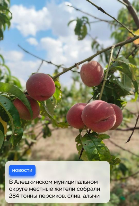 � ����������� ������ ������� ����� 280 ���� ����, �������� � �����