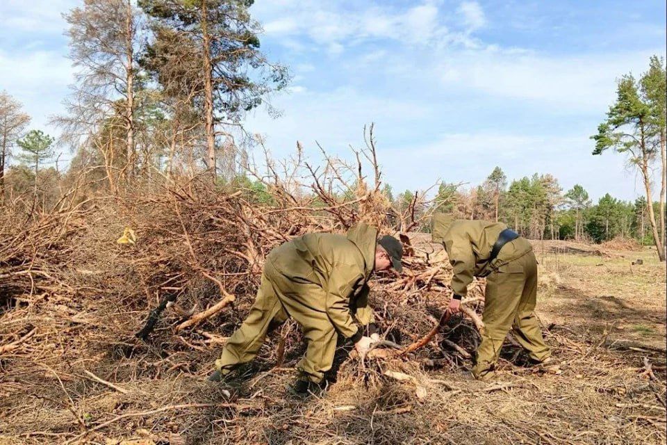 ���������� ���������� ����� ������������ ����� ������� ���������