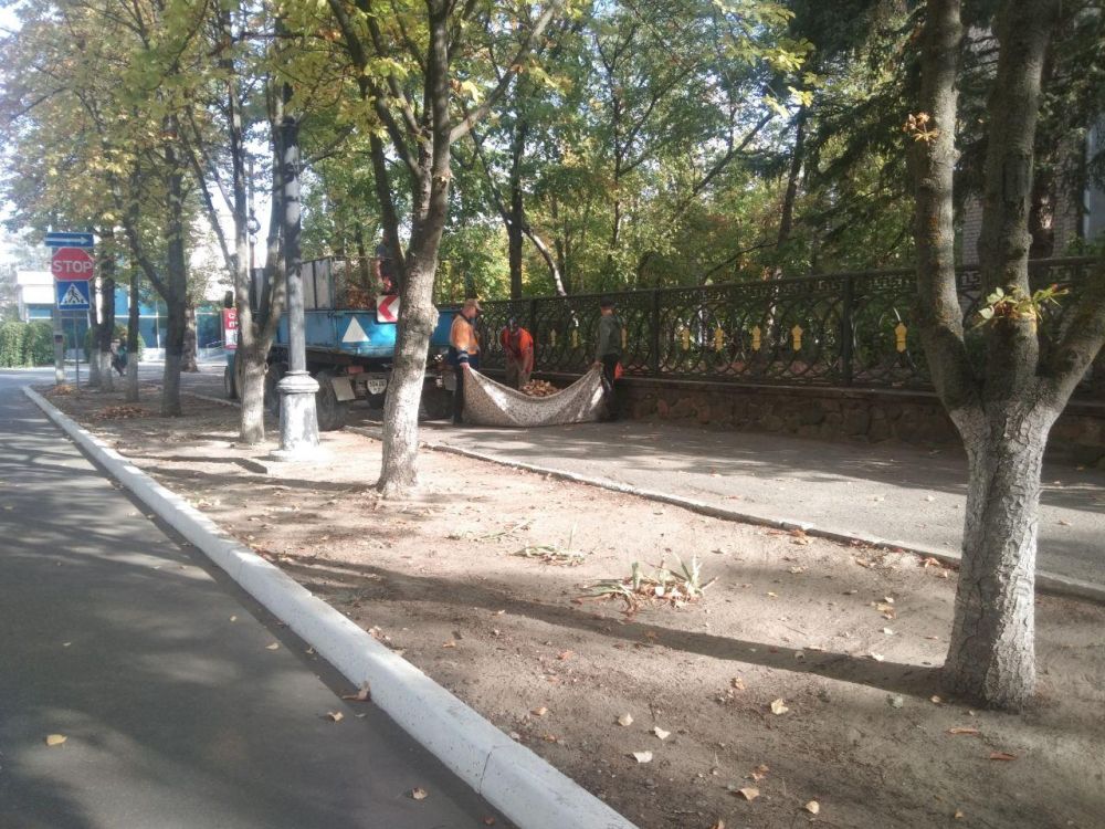 � ������������� ��������� ������ ������������ ������ �� ��������������� ���������� ���������� �������