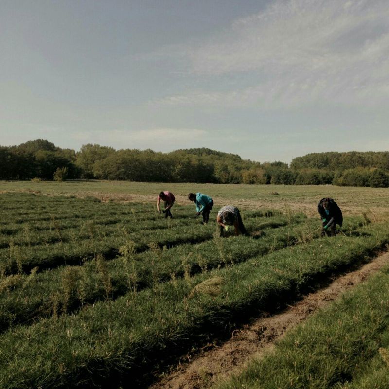 ���������� ������ ���������� ������ �� ����������� ����������� ��������� ������ �������