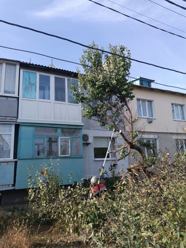 ������ � ������� ��������� � �����������