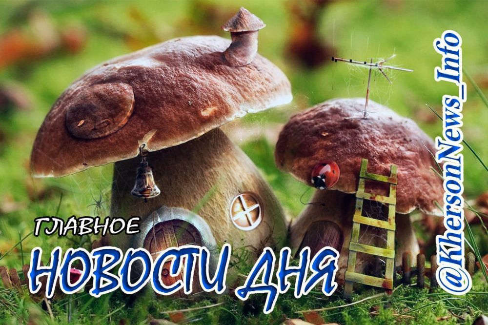 �������, 04 ������� 2024 �.: ���������� �� ��� ������� �����