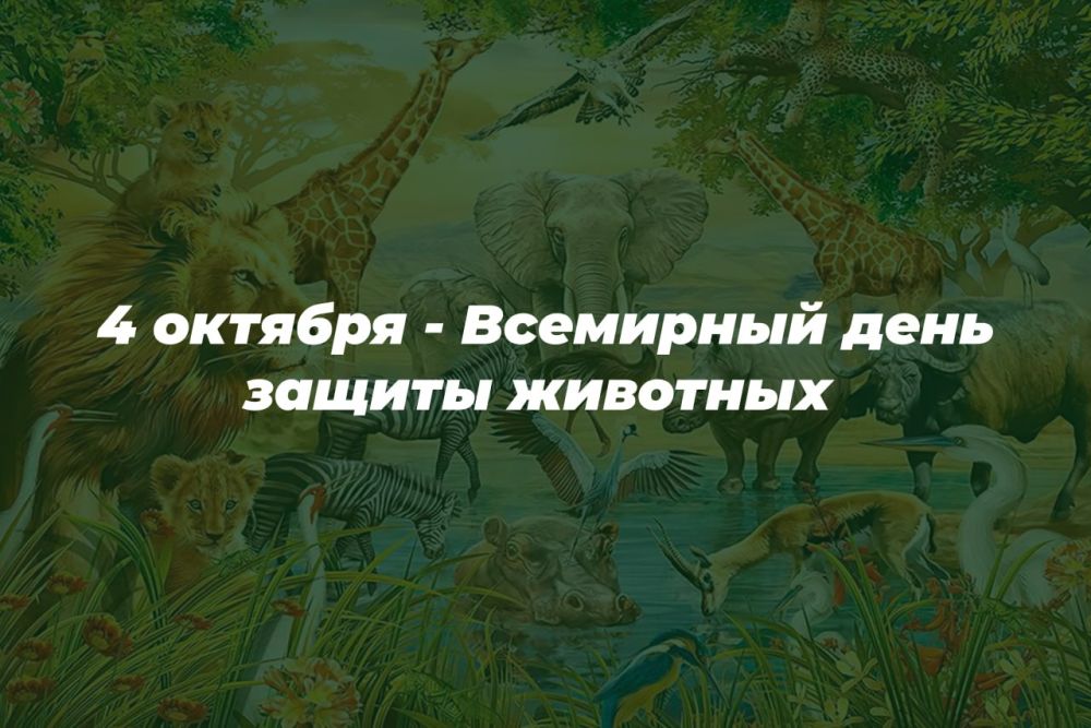 4 ������� - ��������� ���� ������ ��������