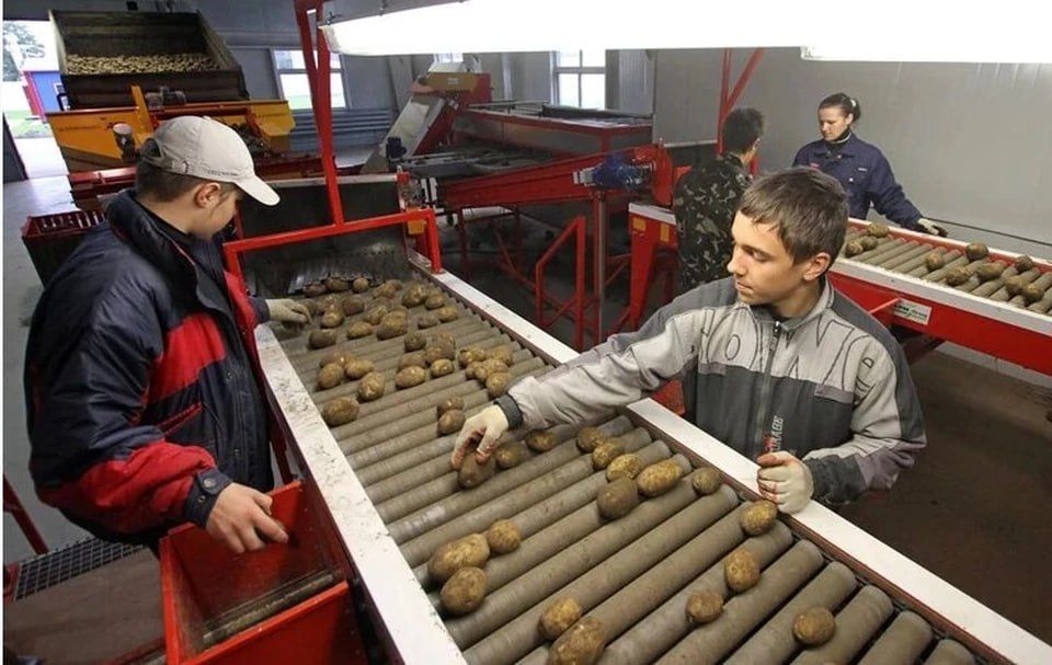 � ���������� ������� ������ 30 ����� ���� ������ � ���� ����� ���� ���������