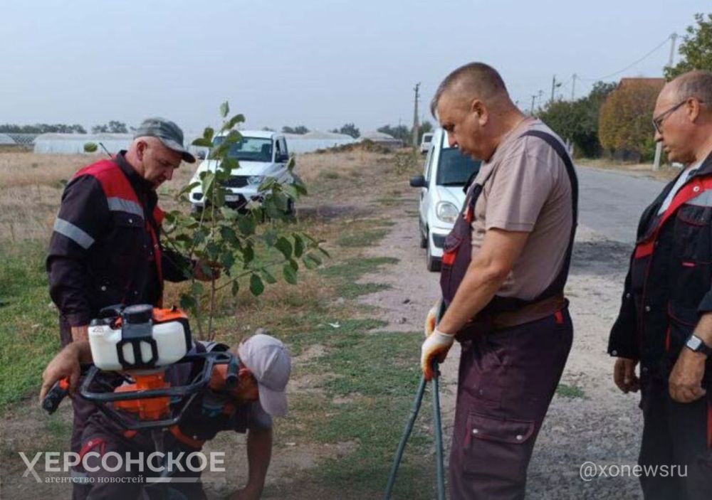 � ����������� �������� 300-�������� �������� �����