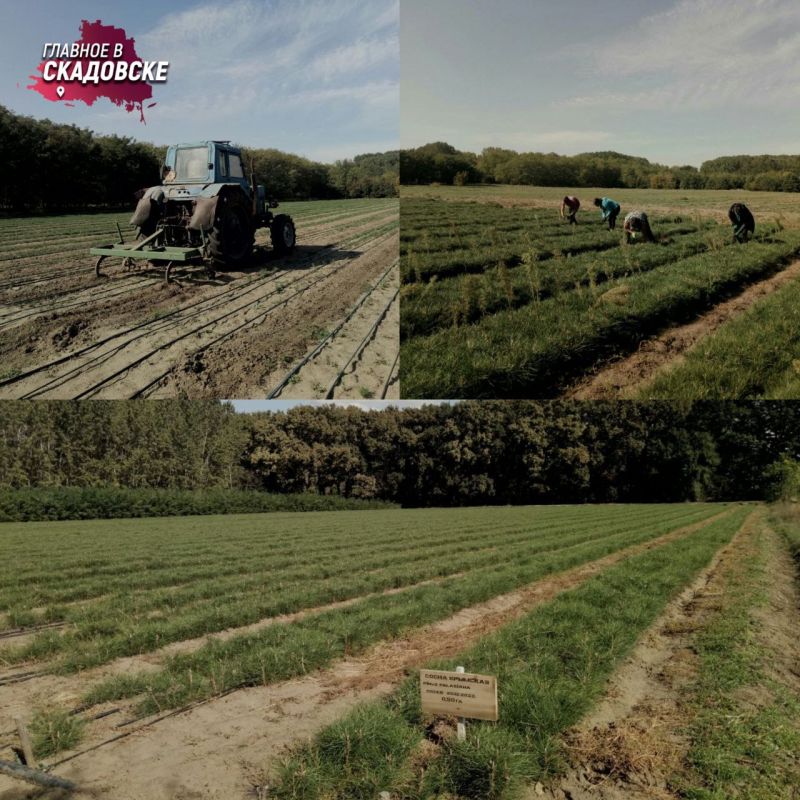 ���������� ������ ���������� ����������� ����������� ��������� ������ �������