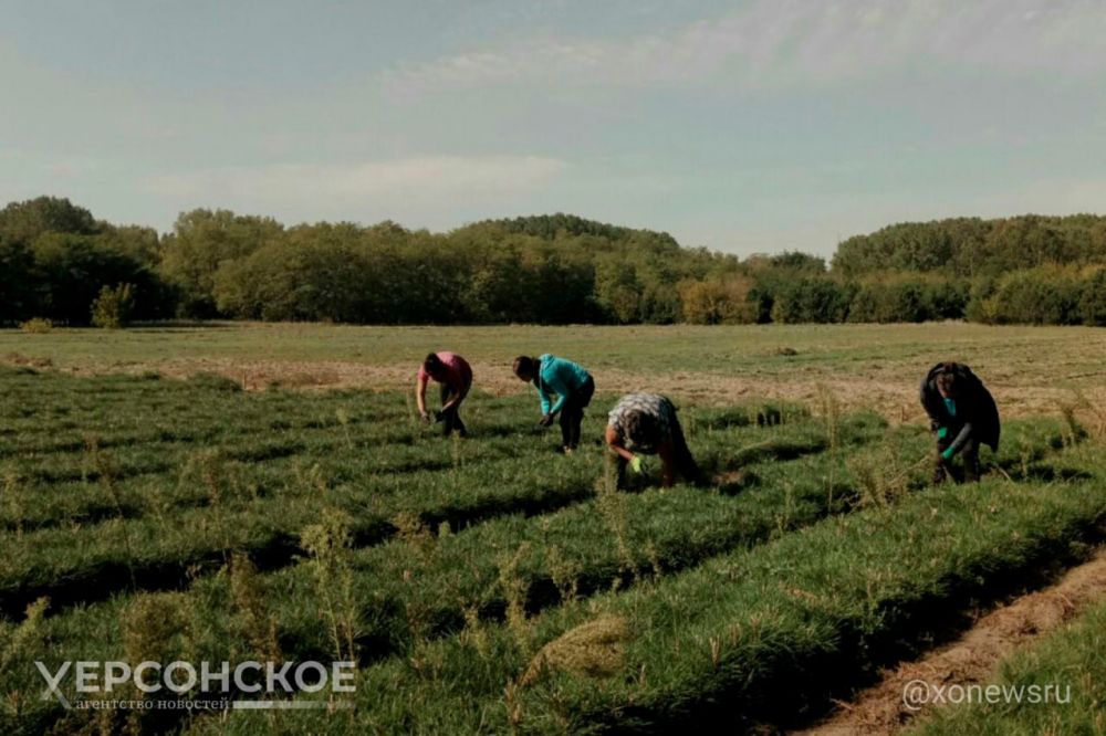 �������� ���������������� ����������� ����� ������� �������� �����