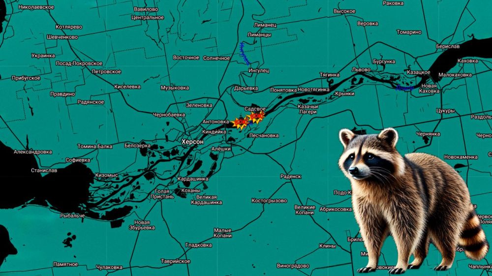 ���� �� �������: ������ ���� ���������� �� �����������: