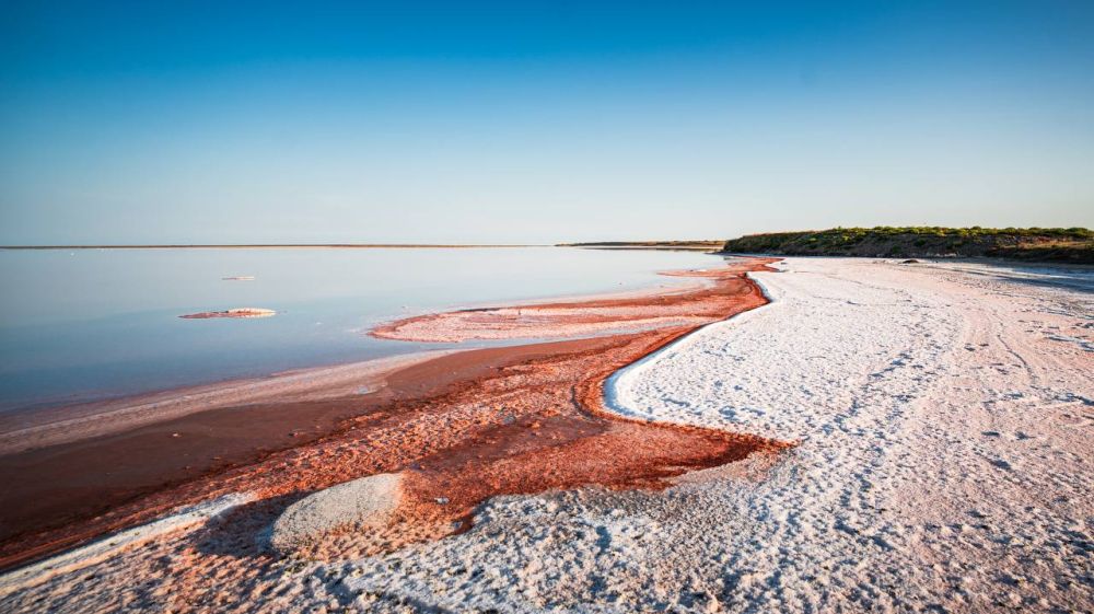 �������� ������: ������ ������� ���� � ��������� ��������� ������� ����������