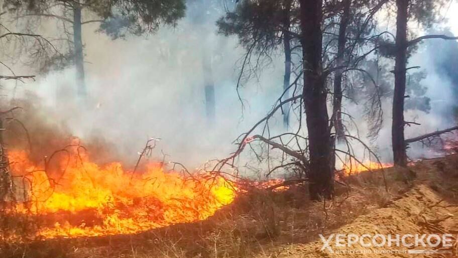 � ���������� ������� �� ����� ������������� 4 ������