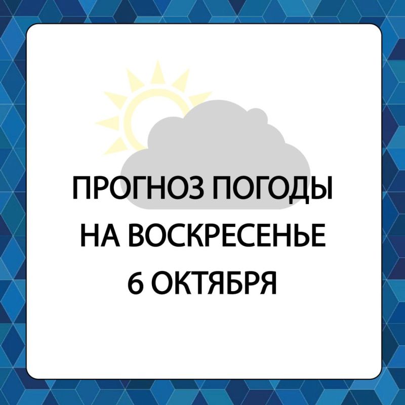 ������� ������ � ����������� ������������� ������ �� �������, 6 �������